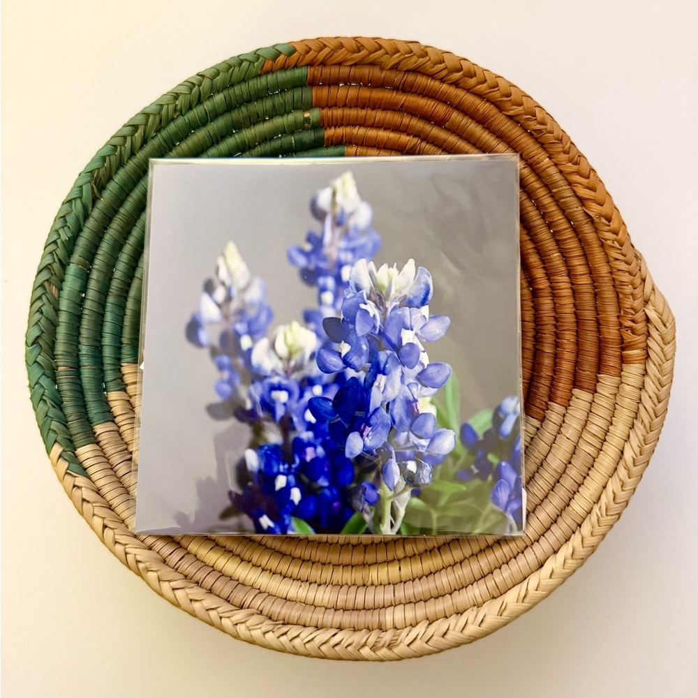 🍃 💙 🔥 BEST SELLER! 4x4 Gorgeous Vibrant Texas Bluebonnet Floral Print